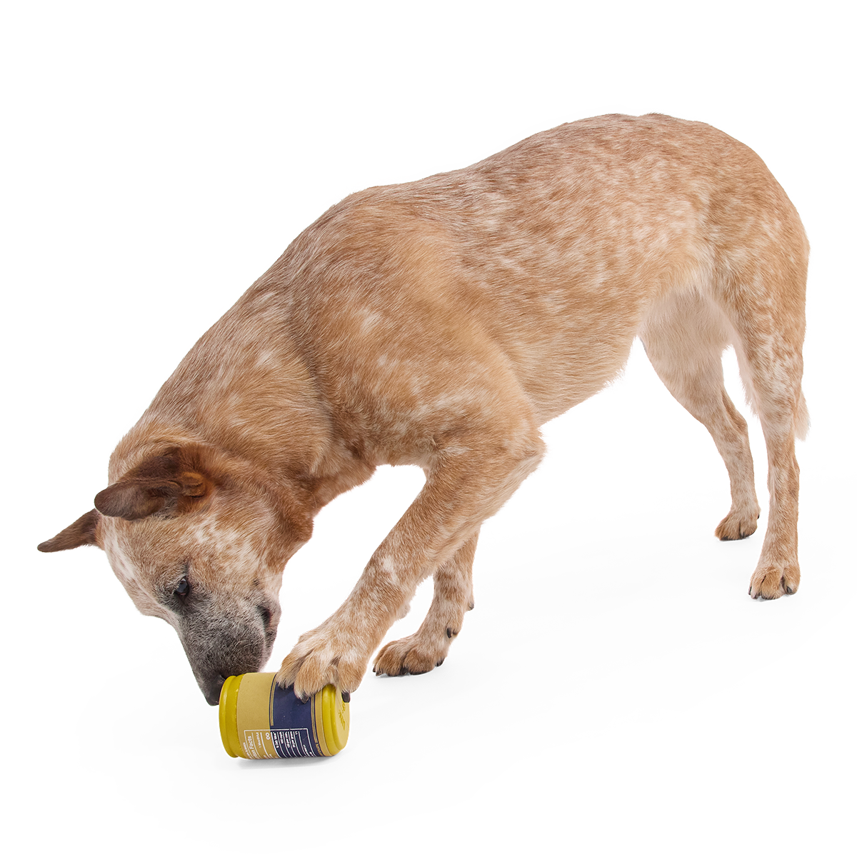 Cold Dead Can Super Chewer Durable Enrichment Dog Toy