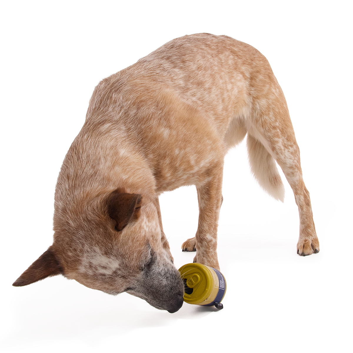 Cold Dead Can Super Chewer Durable Enrichment Dog Toy