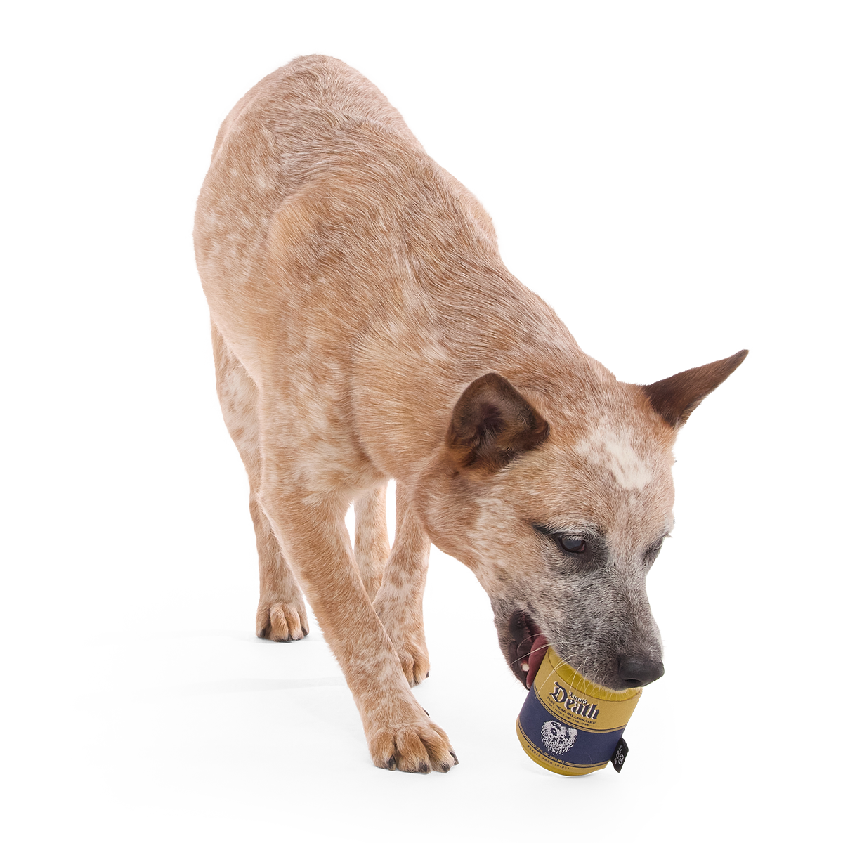 Cold Dead Can Super Chewer Durable Enrichment Dog Toy