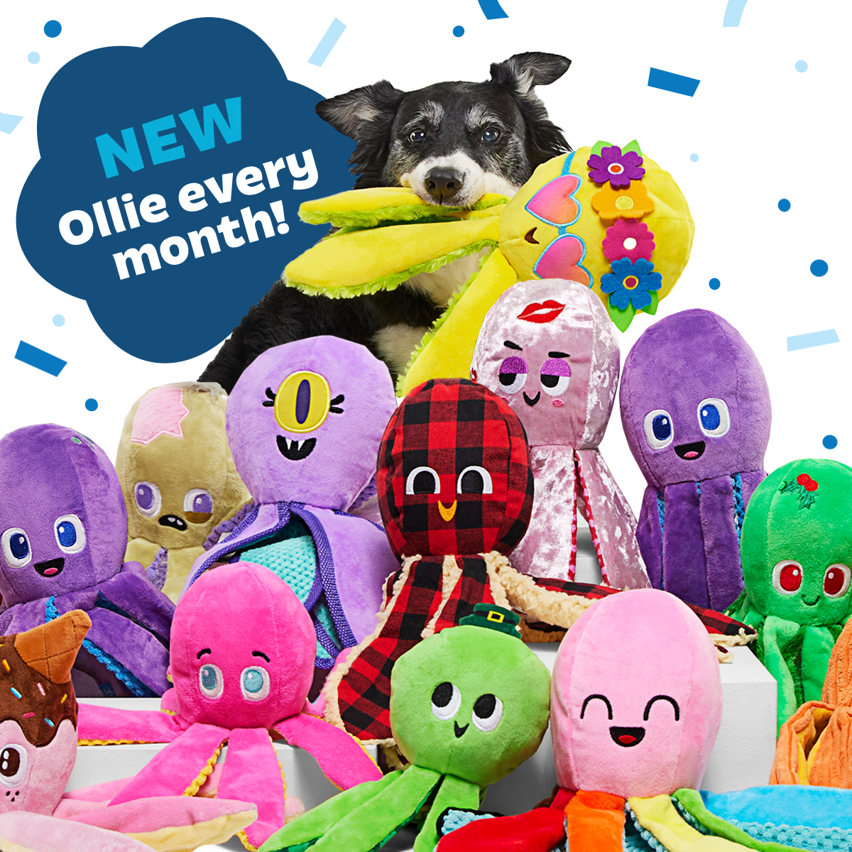 Odd Ollie VIP Toy Club