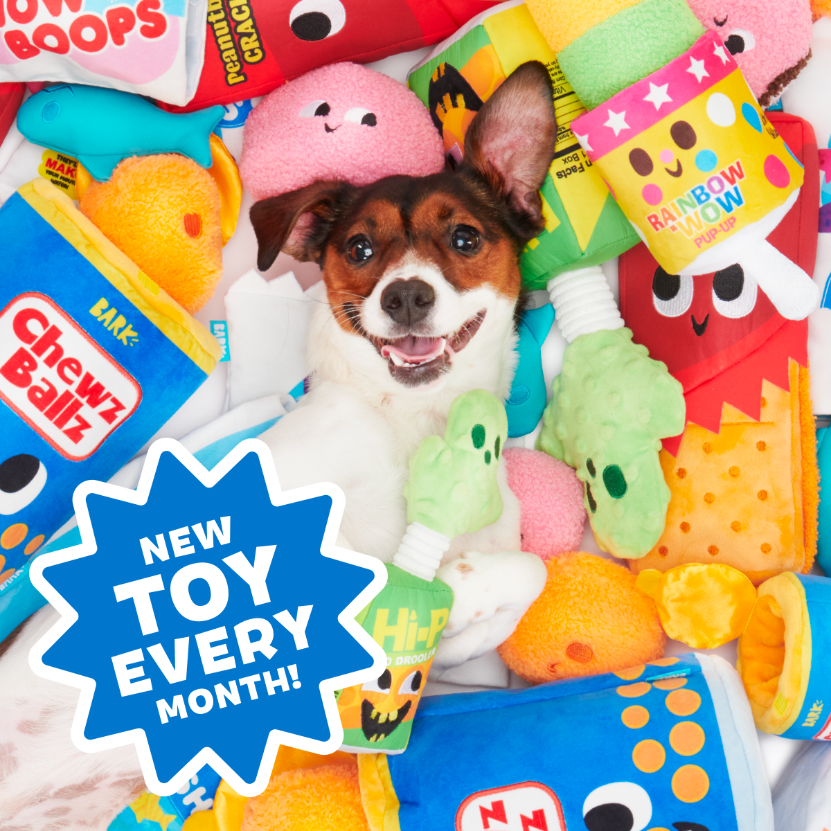 Junk Food Club, Plush Monthly Dog Toys
