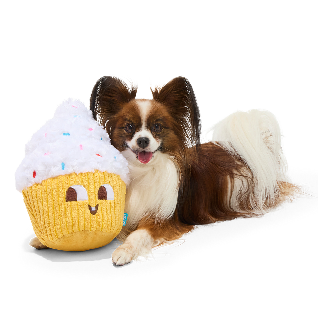 Colossal Cup Kate Plush Extra-Large Dog Toy – BARK
