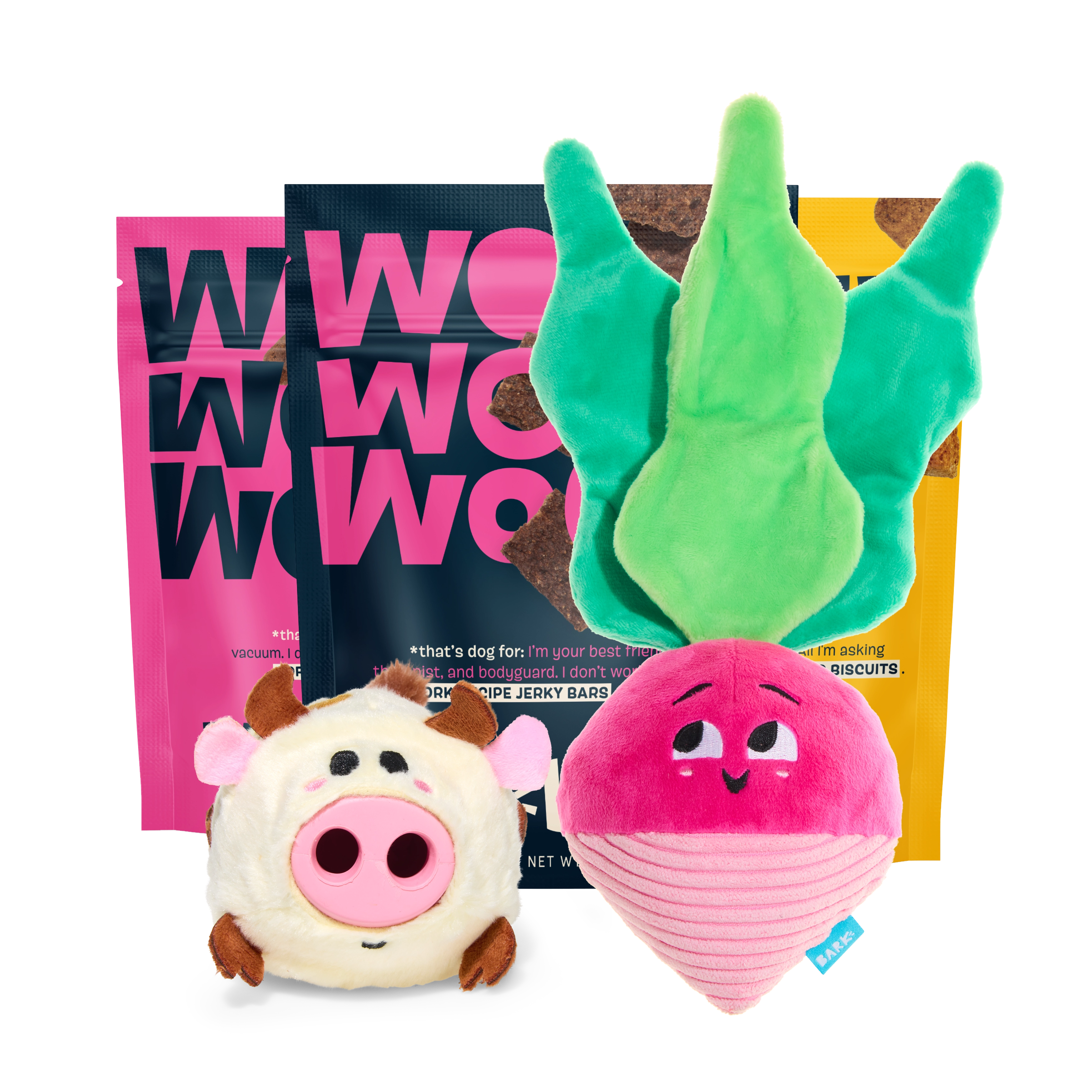 BARK 6 Month Subscription - FREE Extra Treats