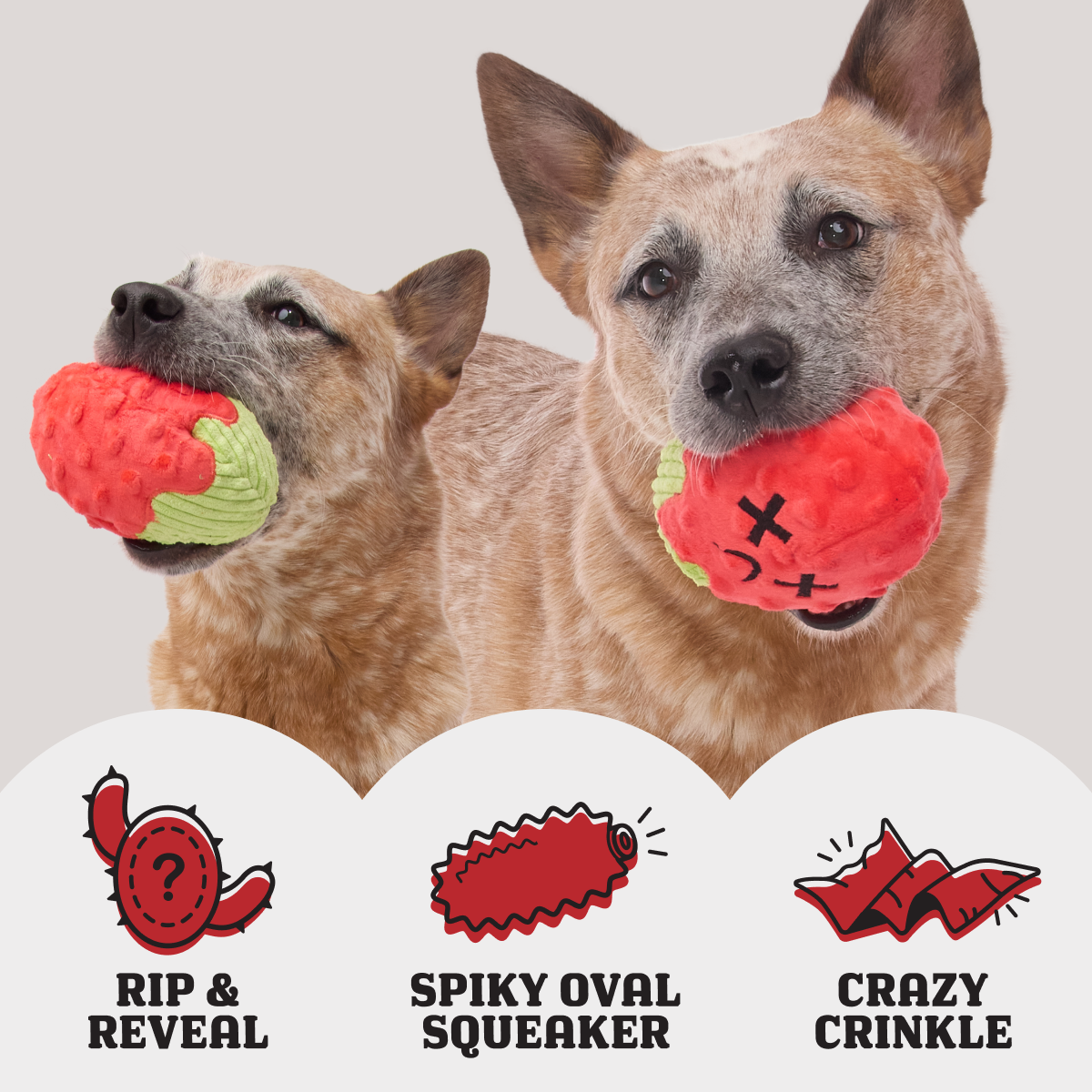 Consuela the Cactus Club, Plush 2-in-1 Monthly Dog Toys