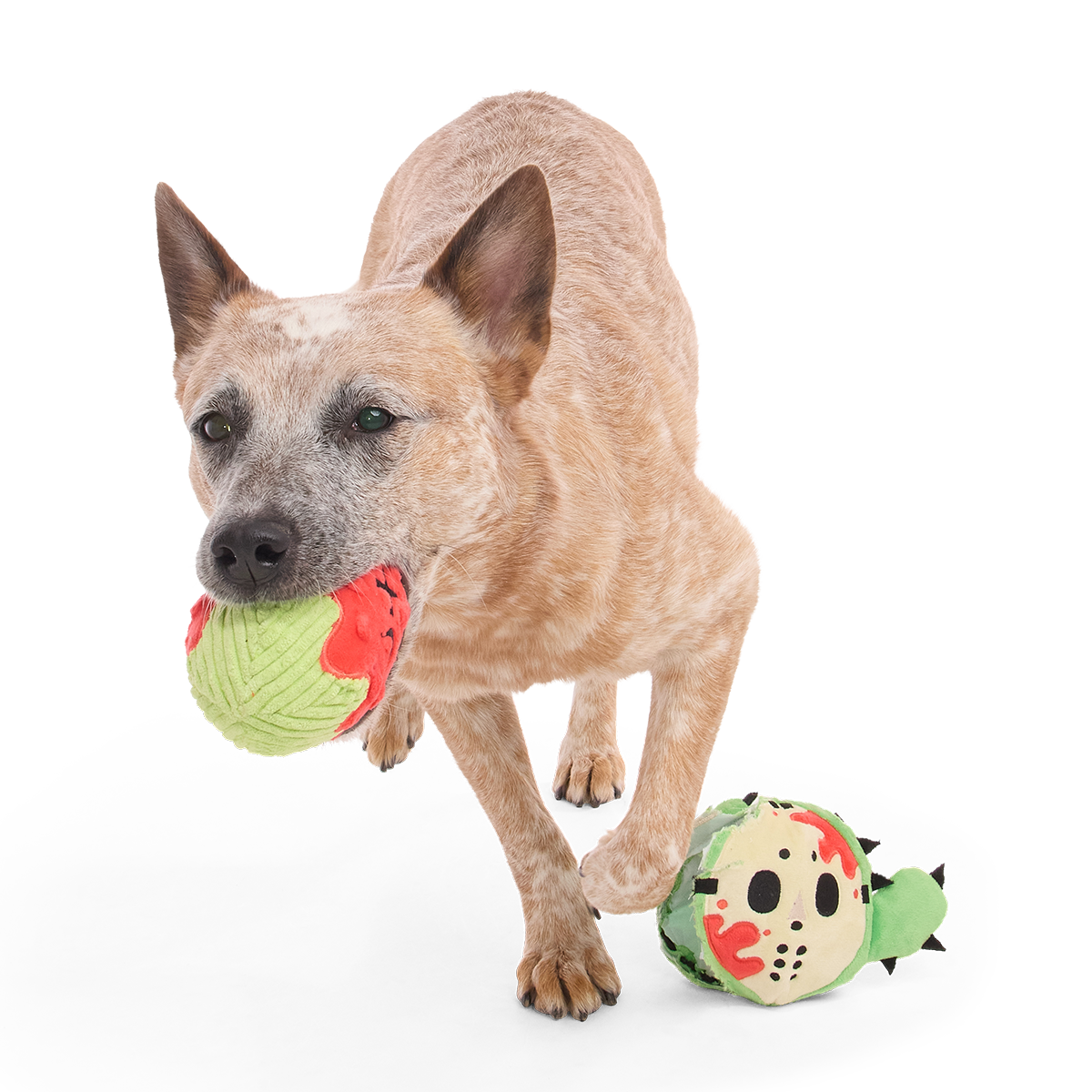 Consuela the Cactus Slasher Plush 2-in-1 + Fetch Dog Toy