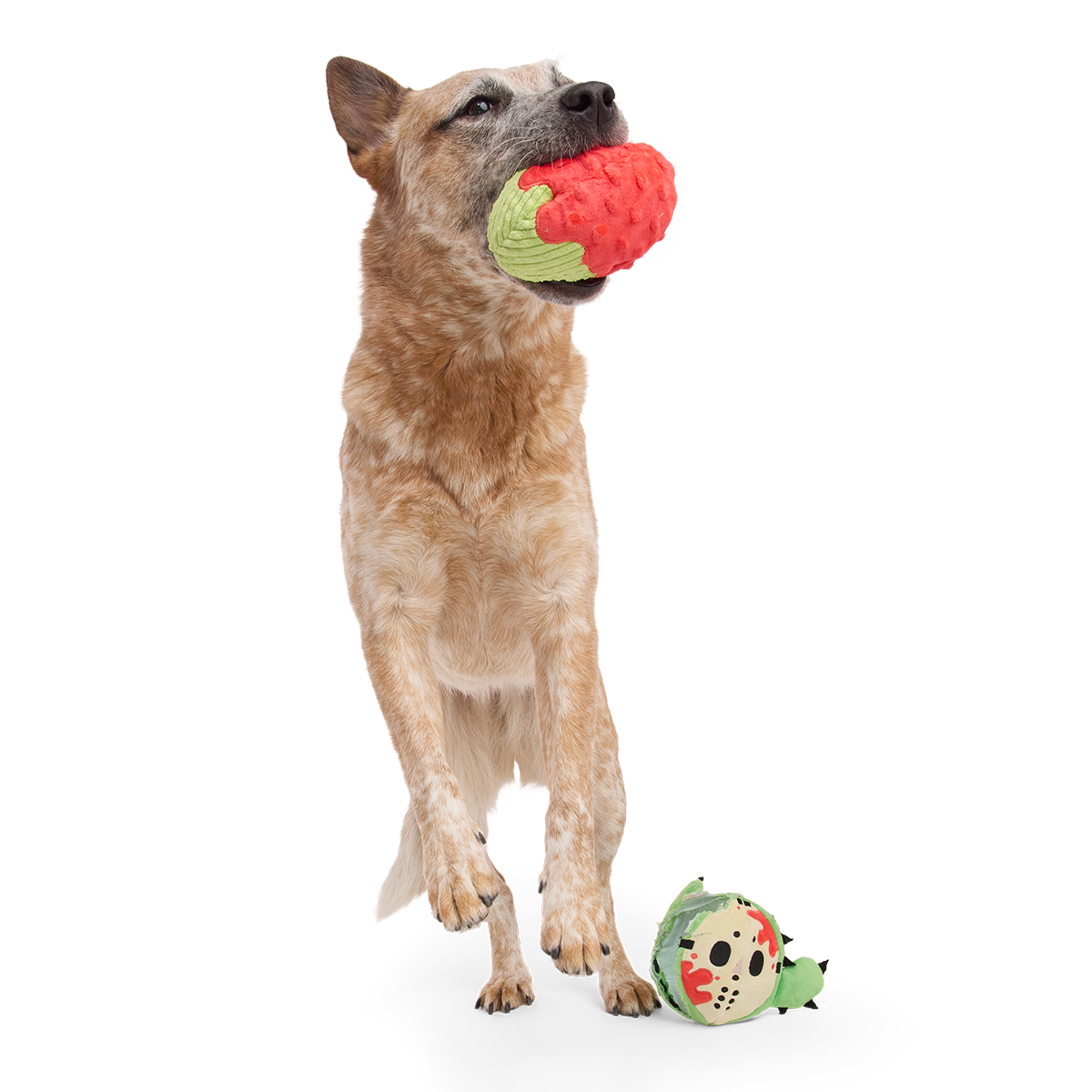 Consuela the Cactus Slasher Plush 2-in-1 + Fetch Dog Toy