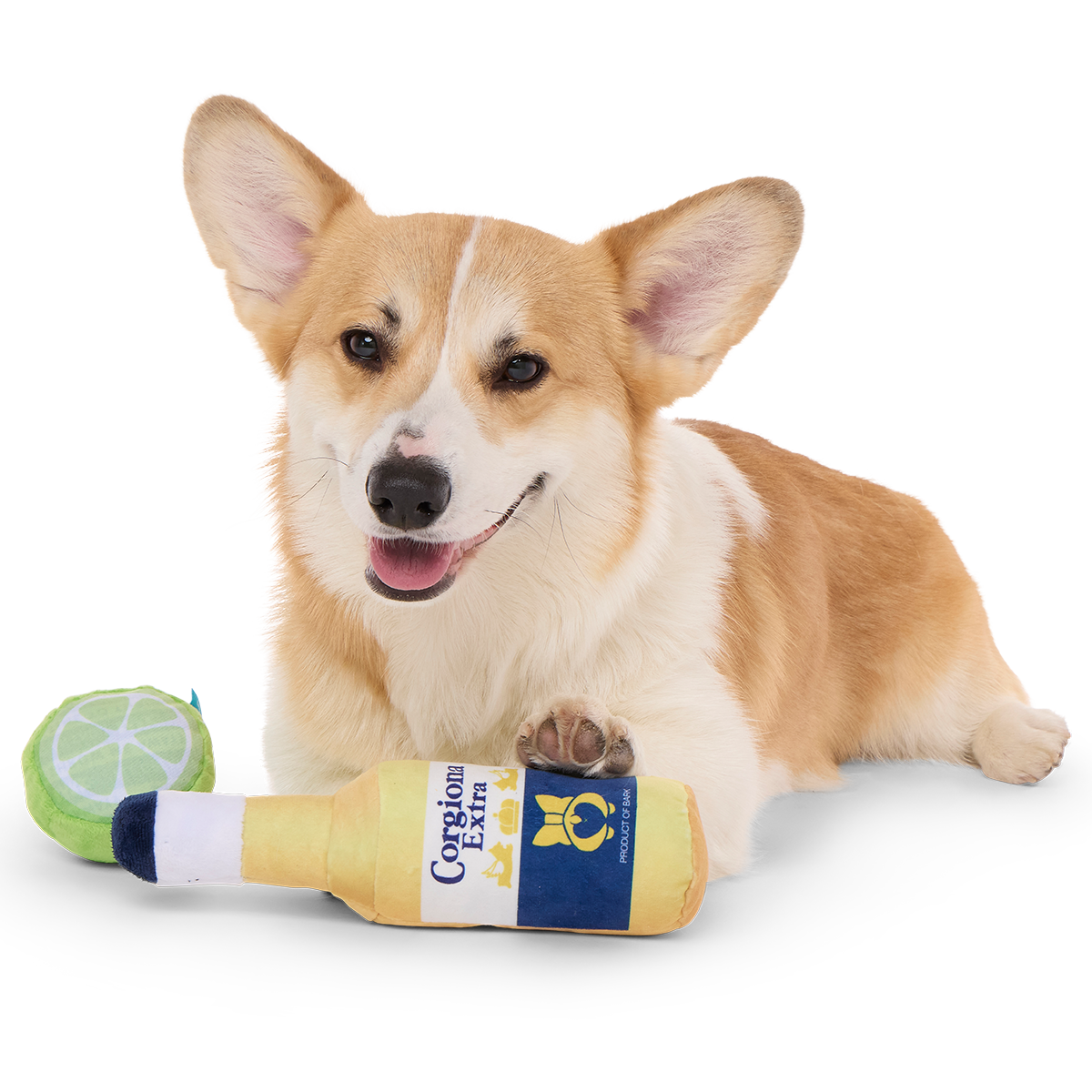 Corgiona With Lime Plush Multi-Part Dog Toy