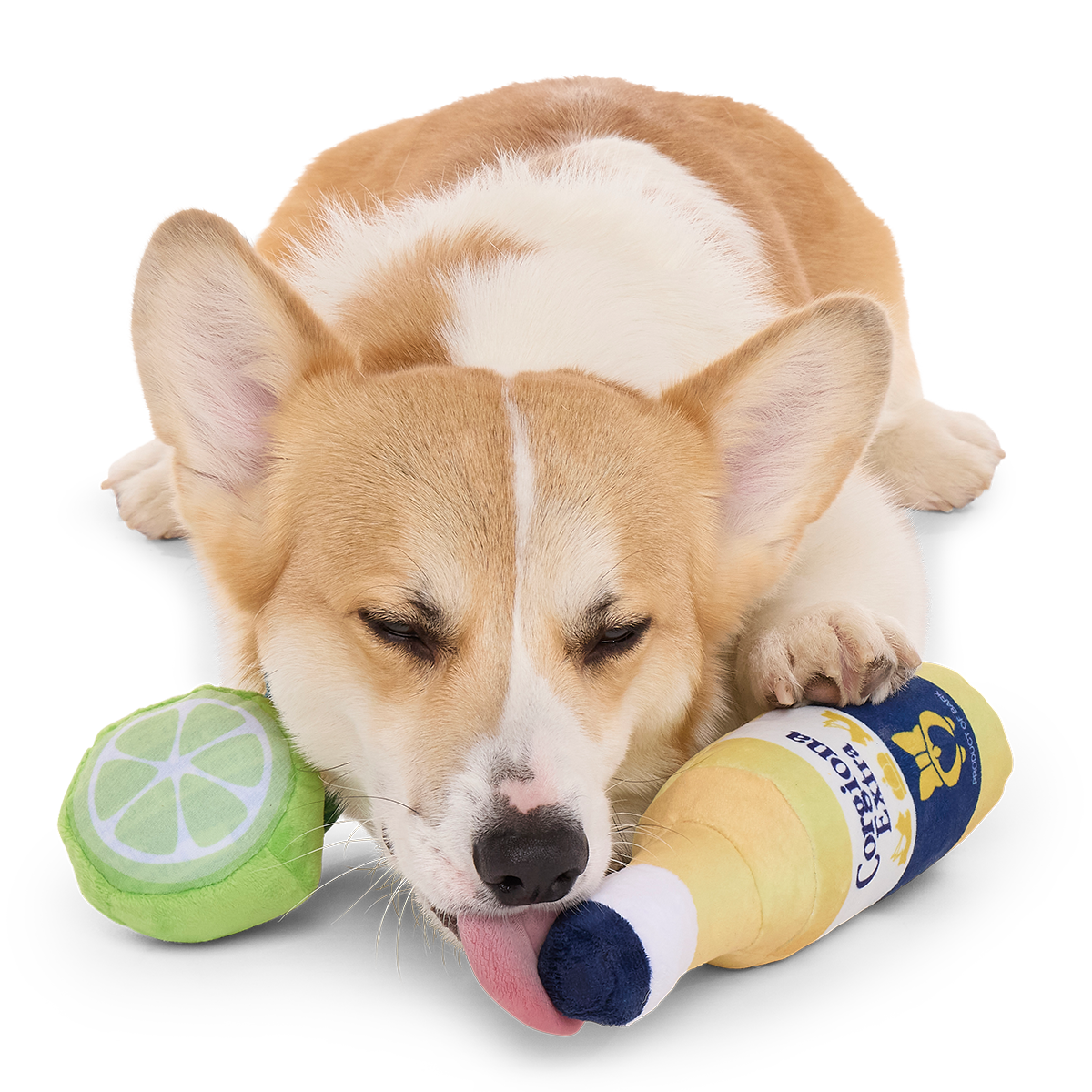 Corgiona With Lime Plush Multi-Part Dog Toy