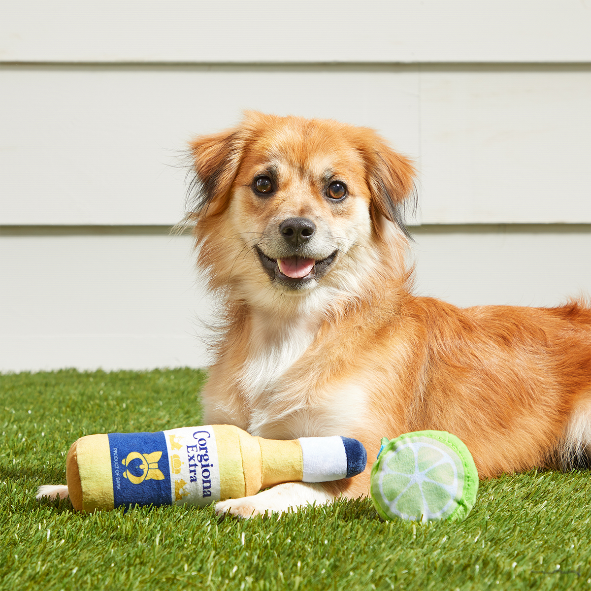 Corgiona With Lime Plush Multi-Part Dog Toy