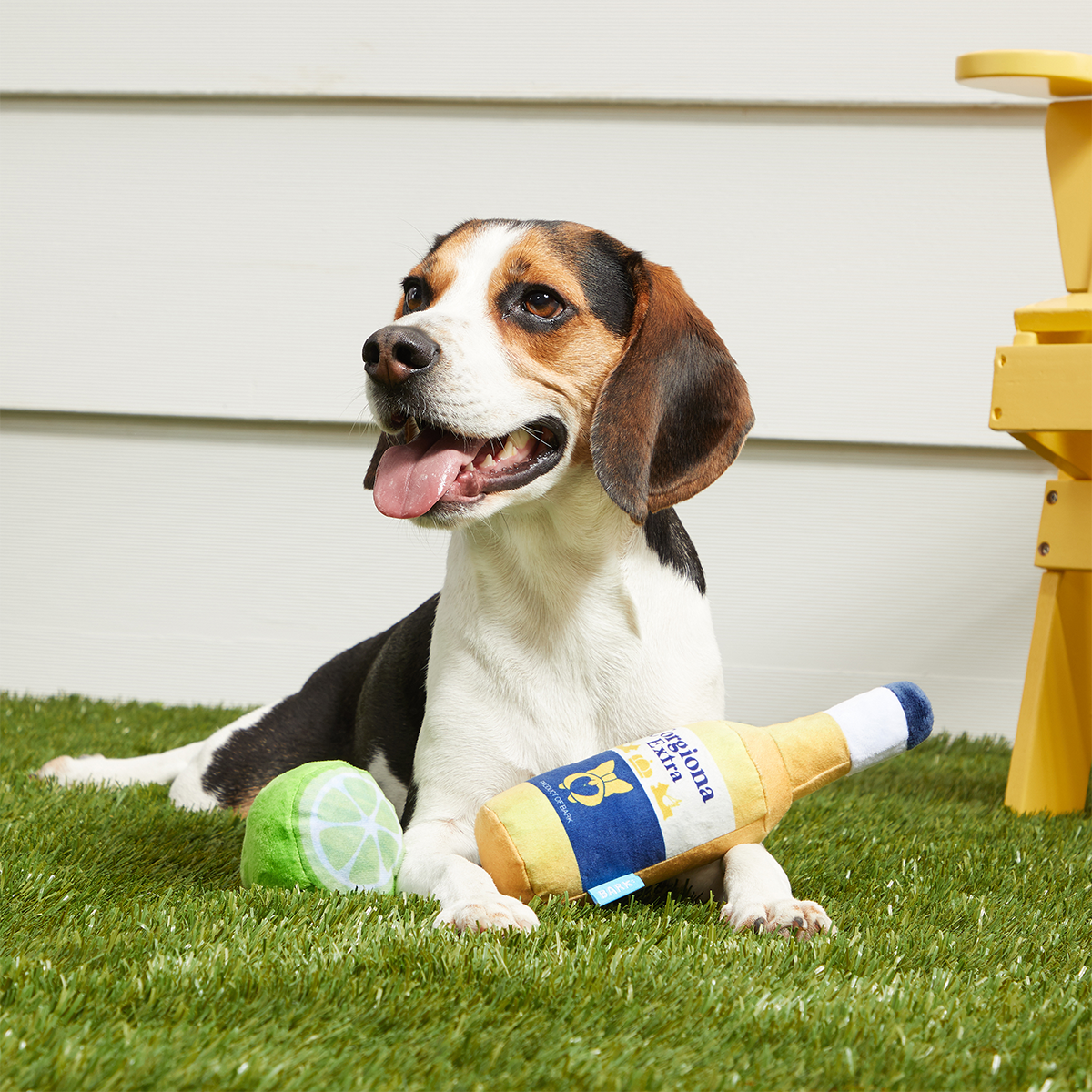 Corgiona With Lime Plush Multi-Part Dog Toy