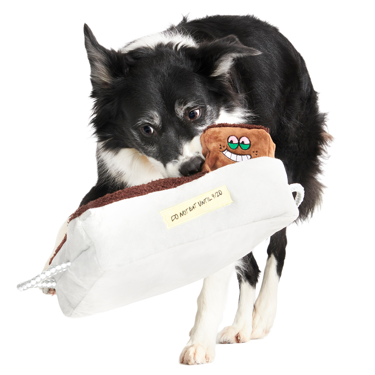 Cosmutt Brownies Plush Extra Large Multi-Part + Enrichment Dog Toy