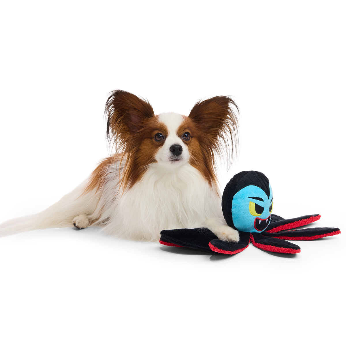 Ollie the Octopus Club, Plush Tug Monthly Dog Toys