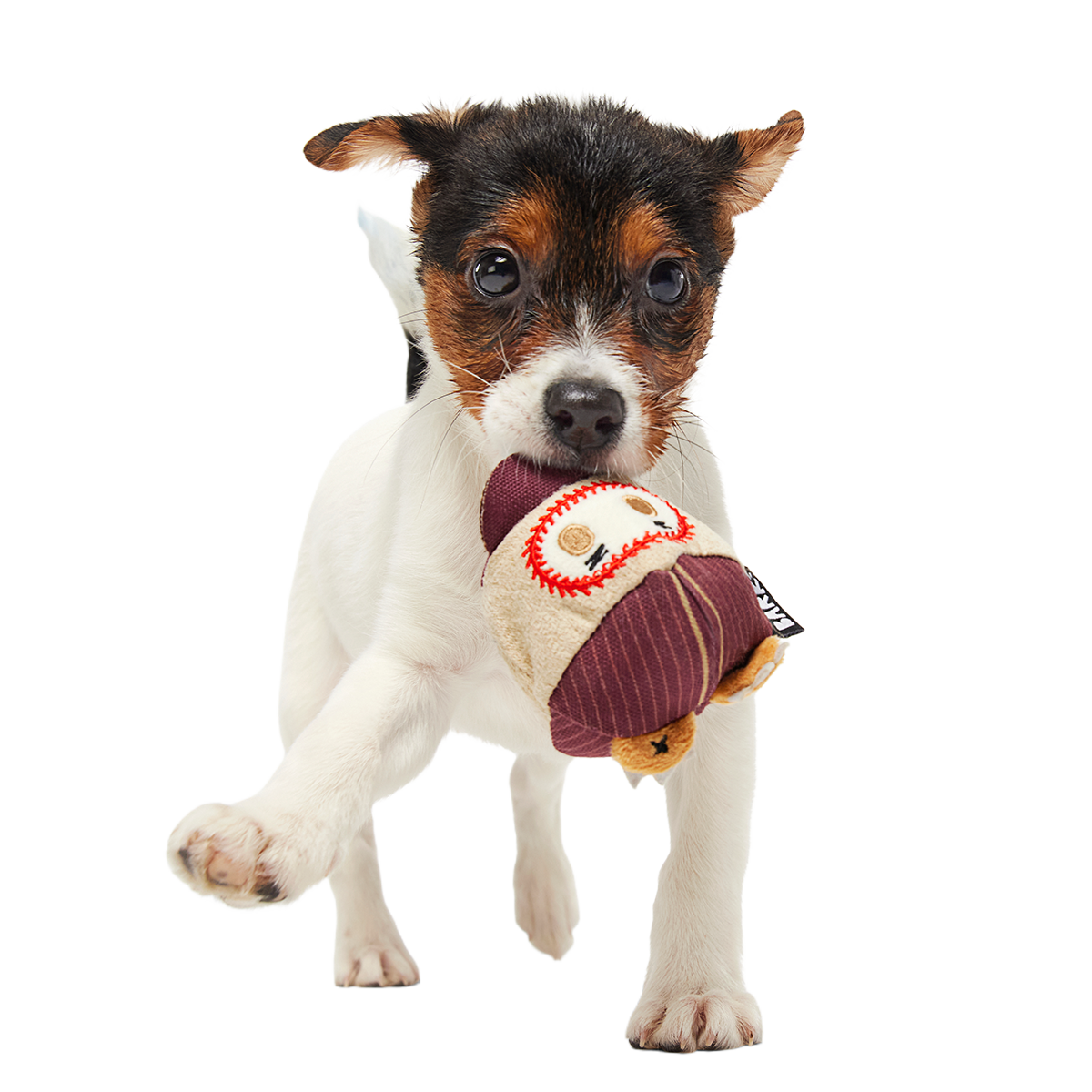Crackin' Jake Super Chewer Durable 2-in-1 + Enrichment + Fetch Dog Toy