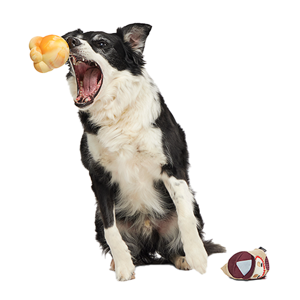 Crackin' Jake Super Chewer Durable 2-in-1 + Enrichment + Fetch Dog Toy