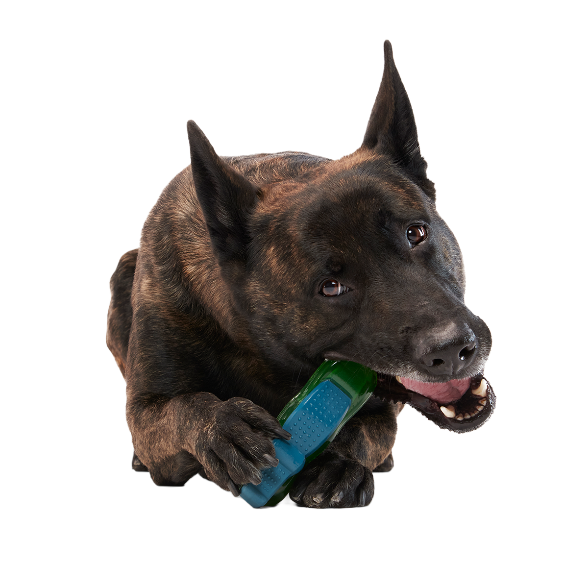 Crocness Monster Super Chewer Durable Gnaw Dog Toy