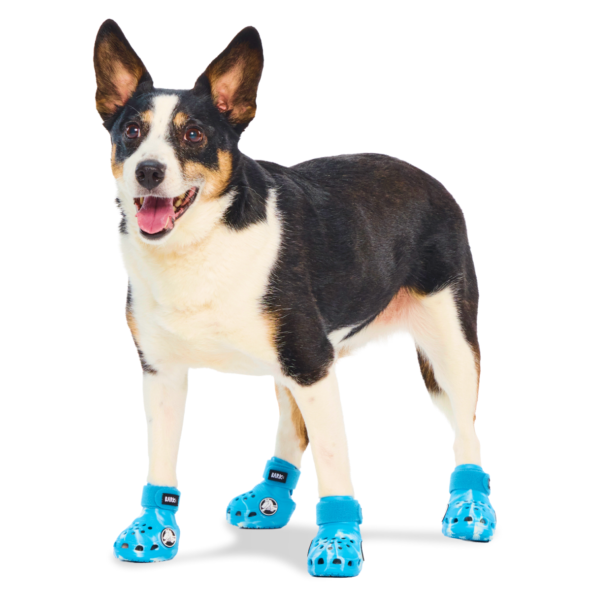 Crocs™ Shoes For Dogs#Color_Marina