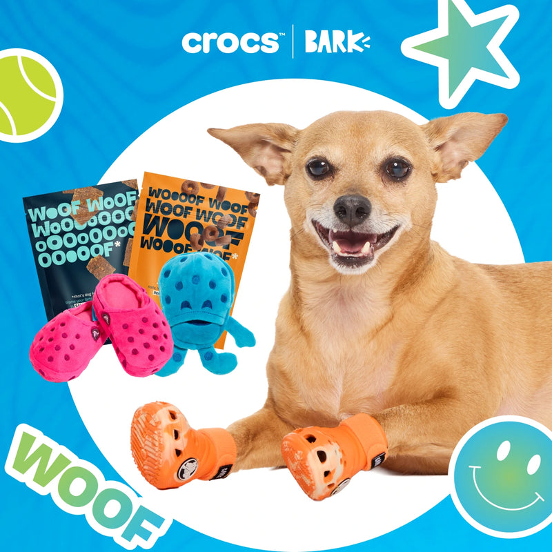 Dog Joy Delivered Every Month