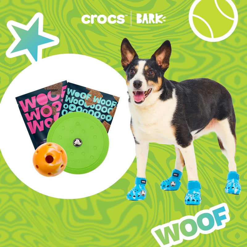 Dog Joy Delivered Every Month