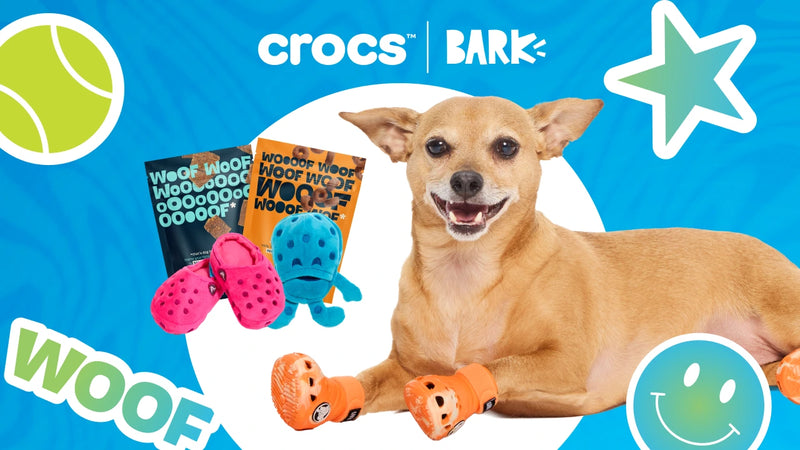 Dog Joy Delivered Every Month