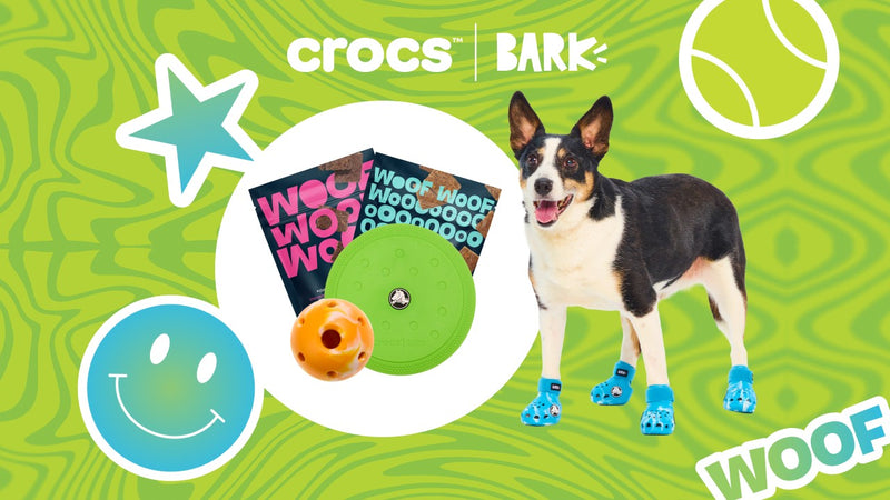 Dog Joy Delivered Every Month