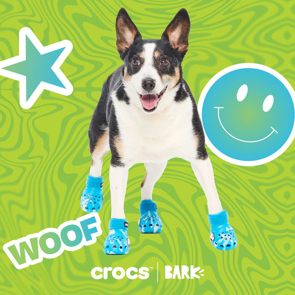 Croctober Offer: FREE Crocs™ shoes for dogs!