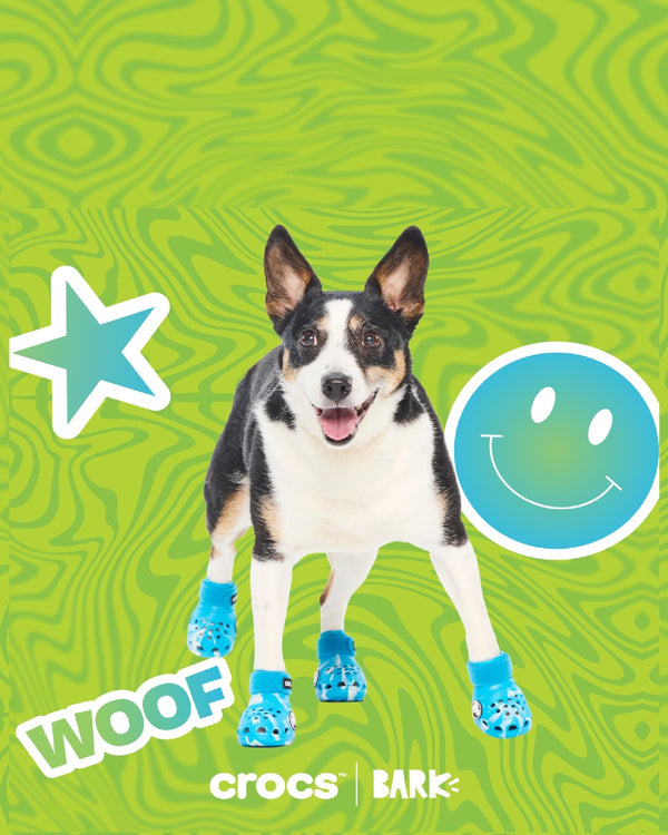 Croctober Offer: FREE Crocs™ shoes for dogs!