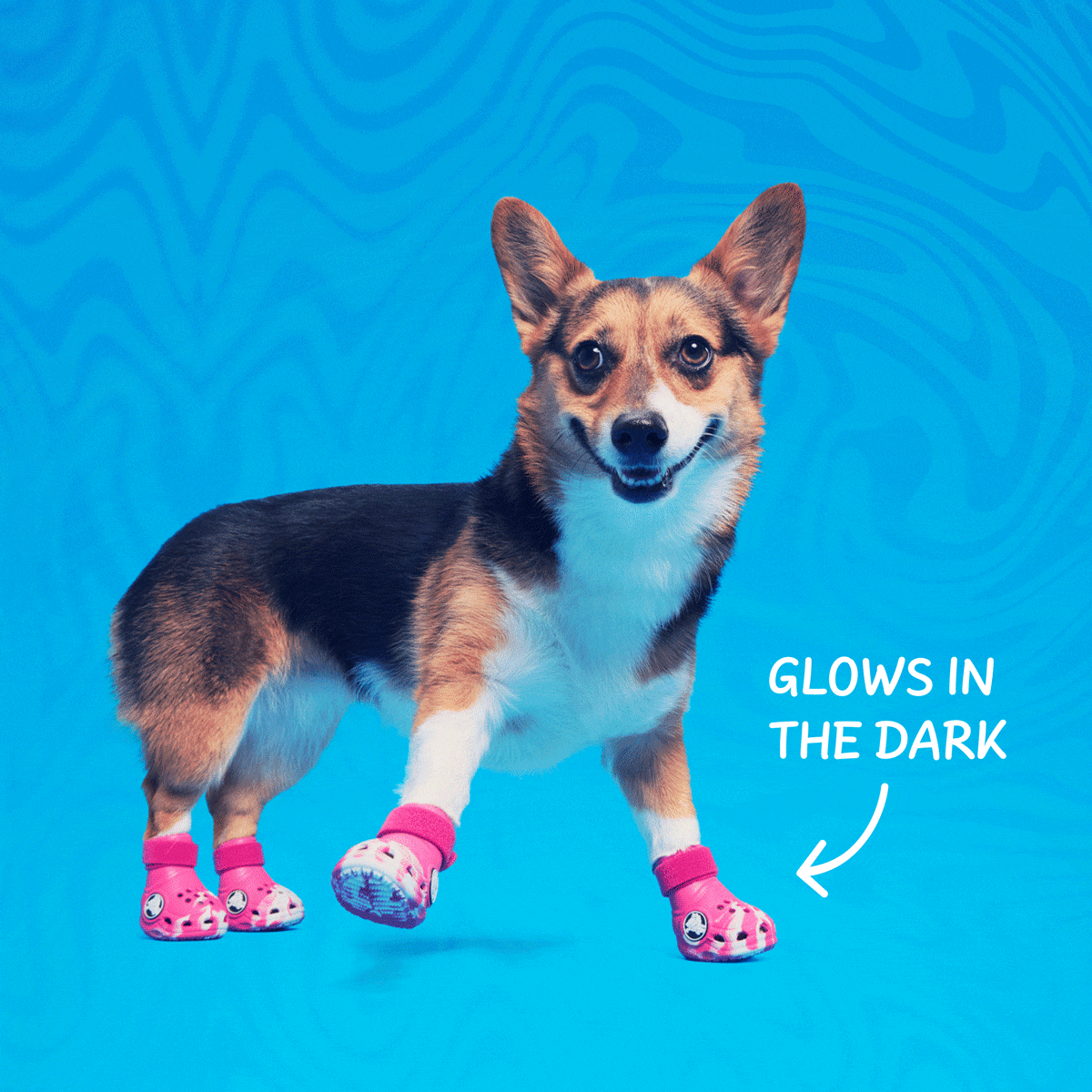 Crocs™ Shoes For Dogs