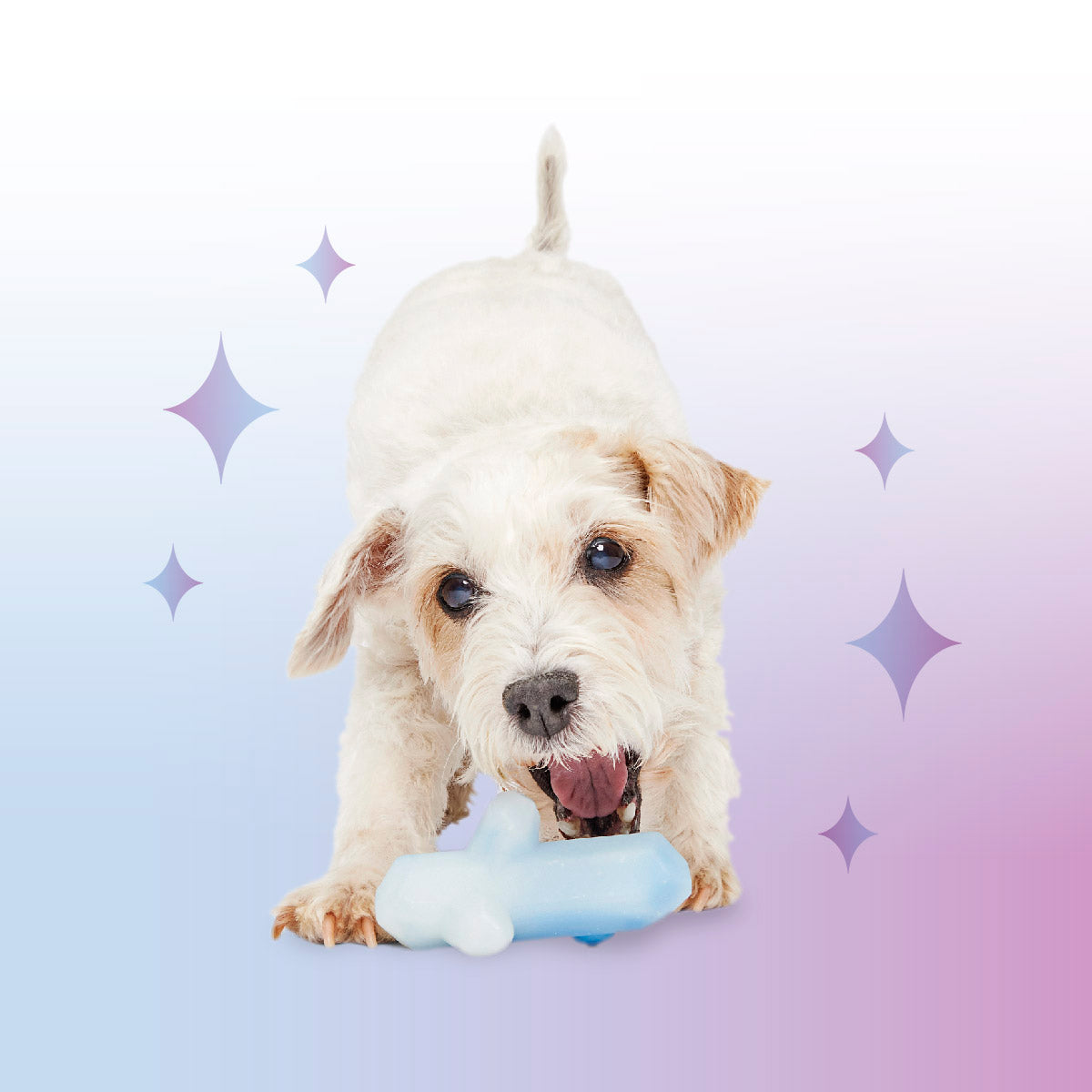 Crystal of the Month Club, Super Chewer Durable Monthly Dog Toys