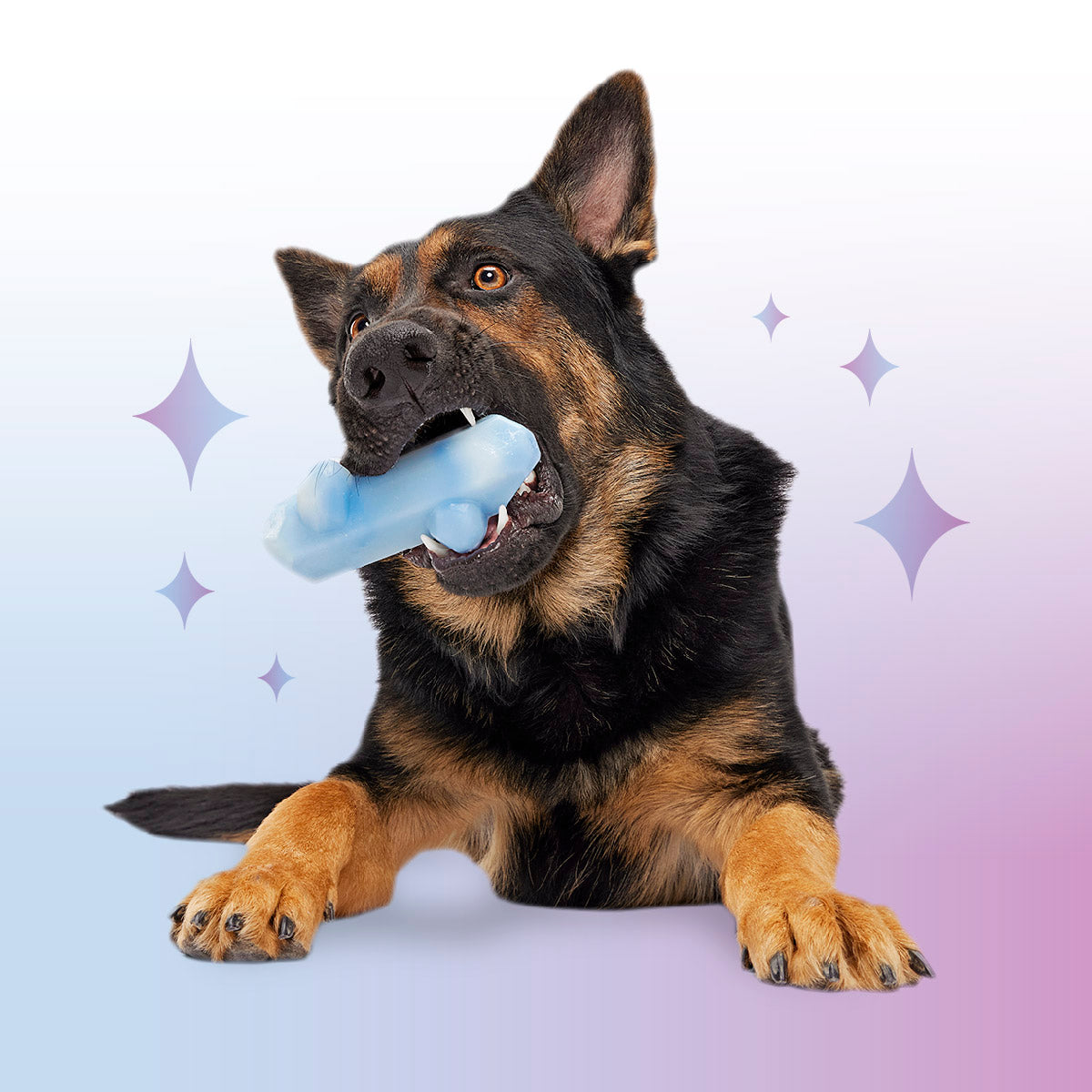 Crystal of the Month Club, Super Chewer Durable Monthly Dog Toys