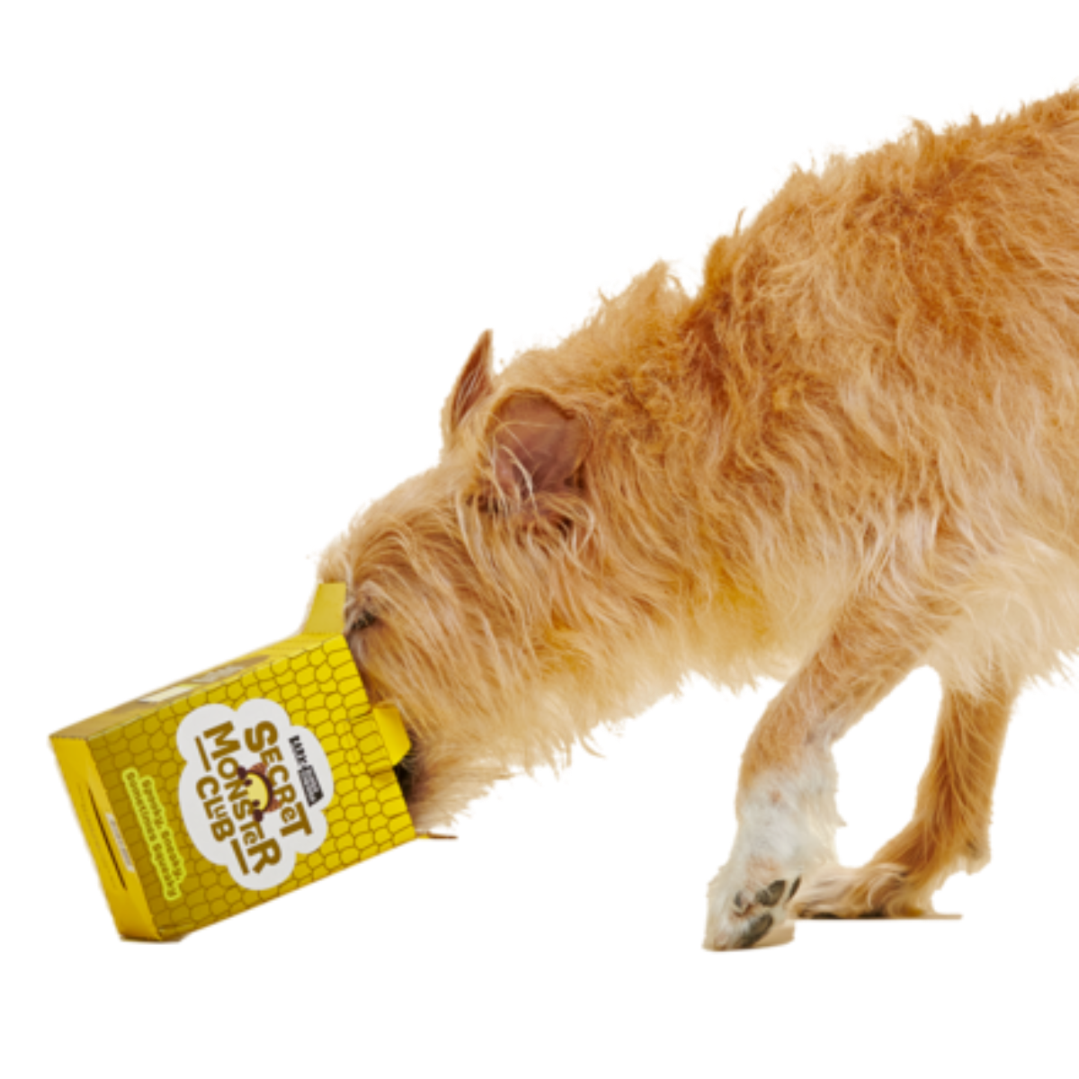 Secret Monster Club, Super Chewer Durable 2-in-1 Rip and Reveal Monthly Dog Toys