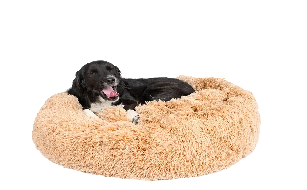 Dog Bed