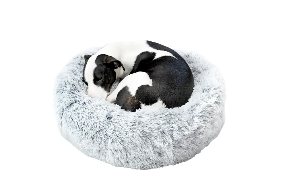Dog Bed