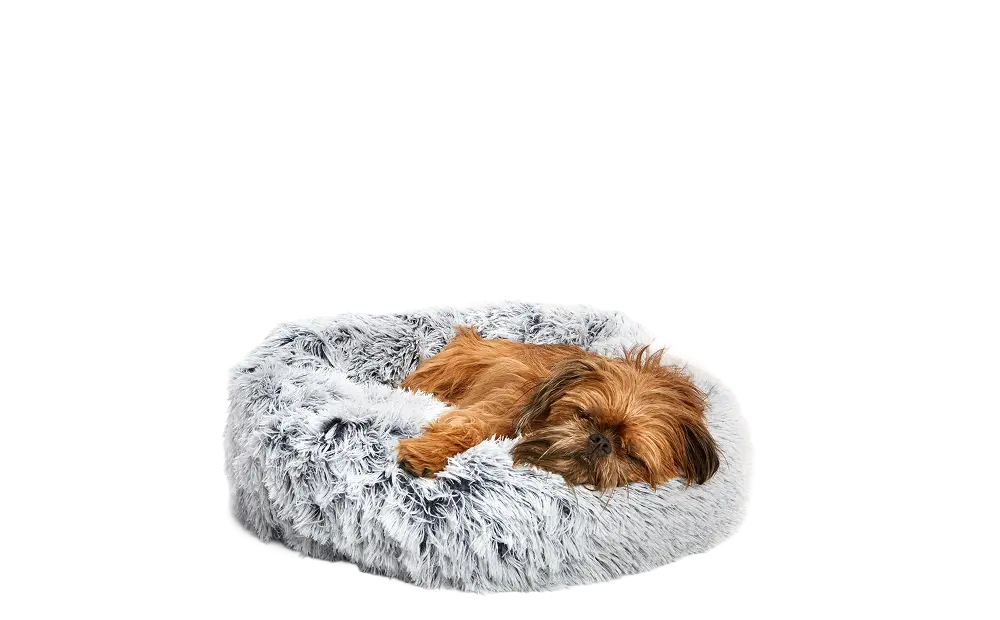 Dog Bed