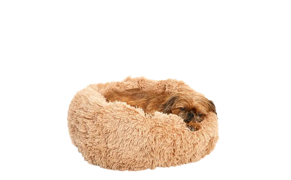 Dog Bed