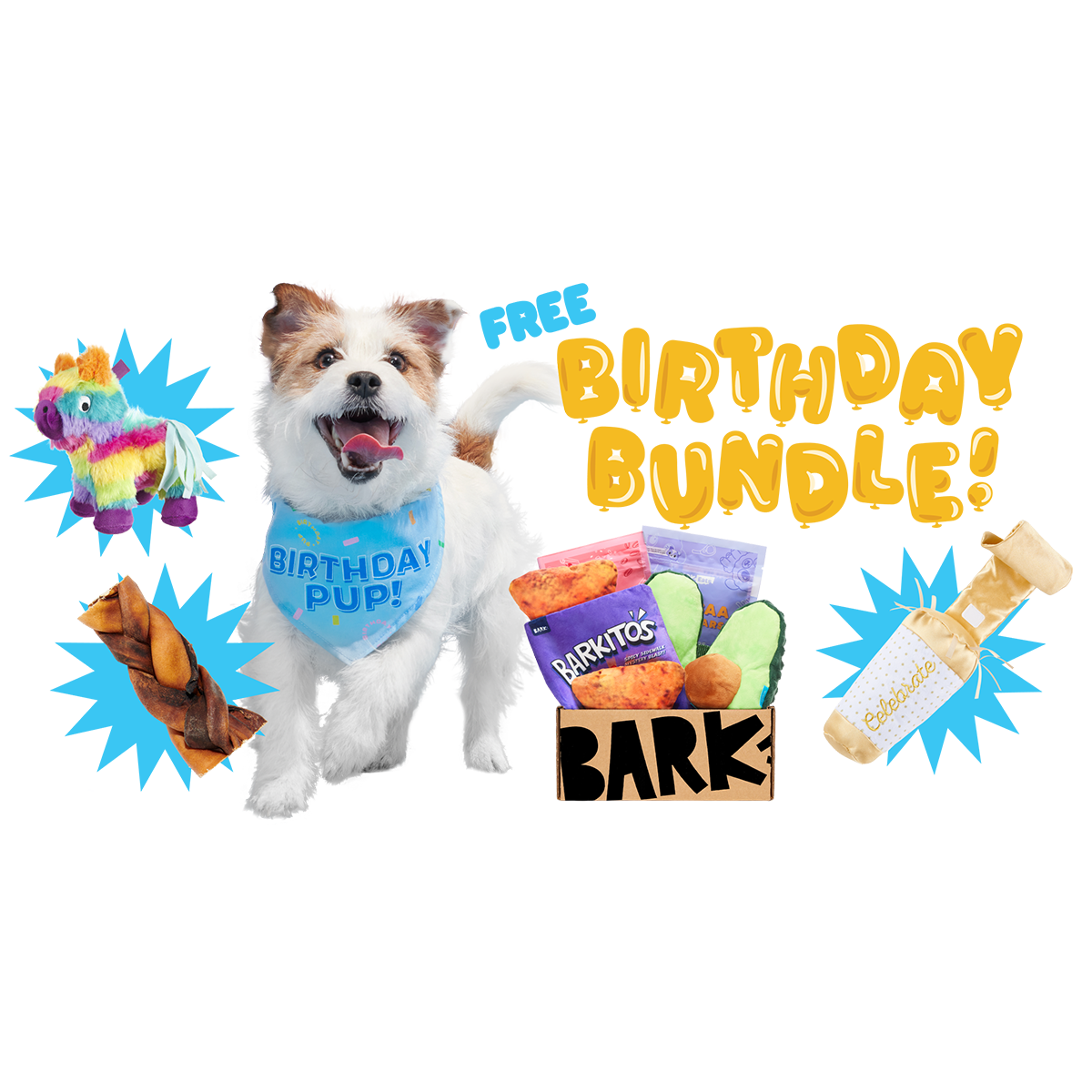 BarkBox Birthday Bundle