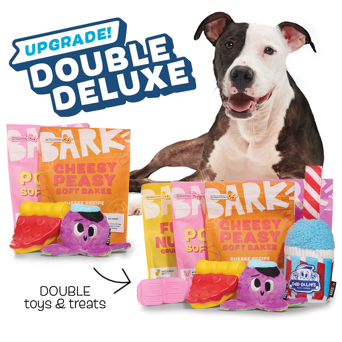 Chewer Toys Barkbox Monthly Subscription Super Chewer Double