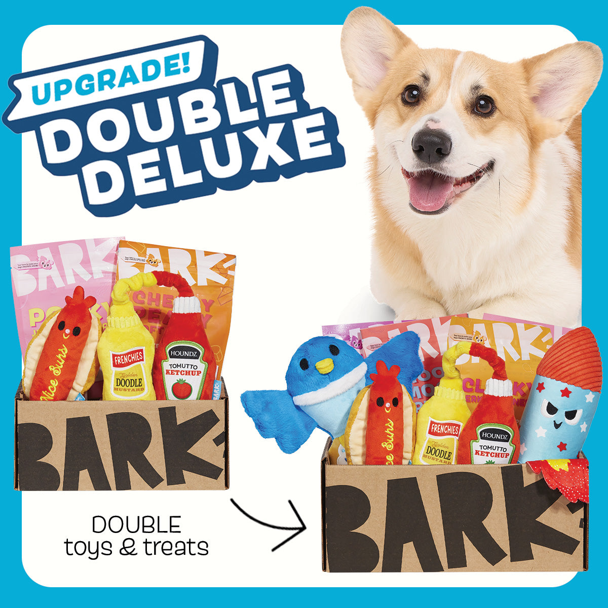 Subscription Boxes Barkbox For Puppies Monthly Barkbox For Dogs