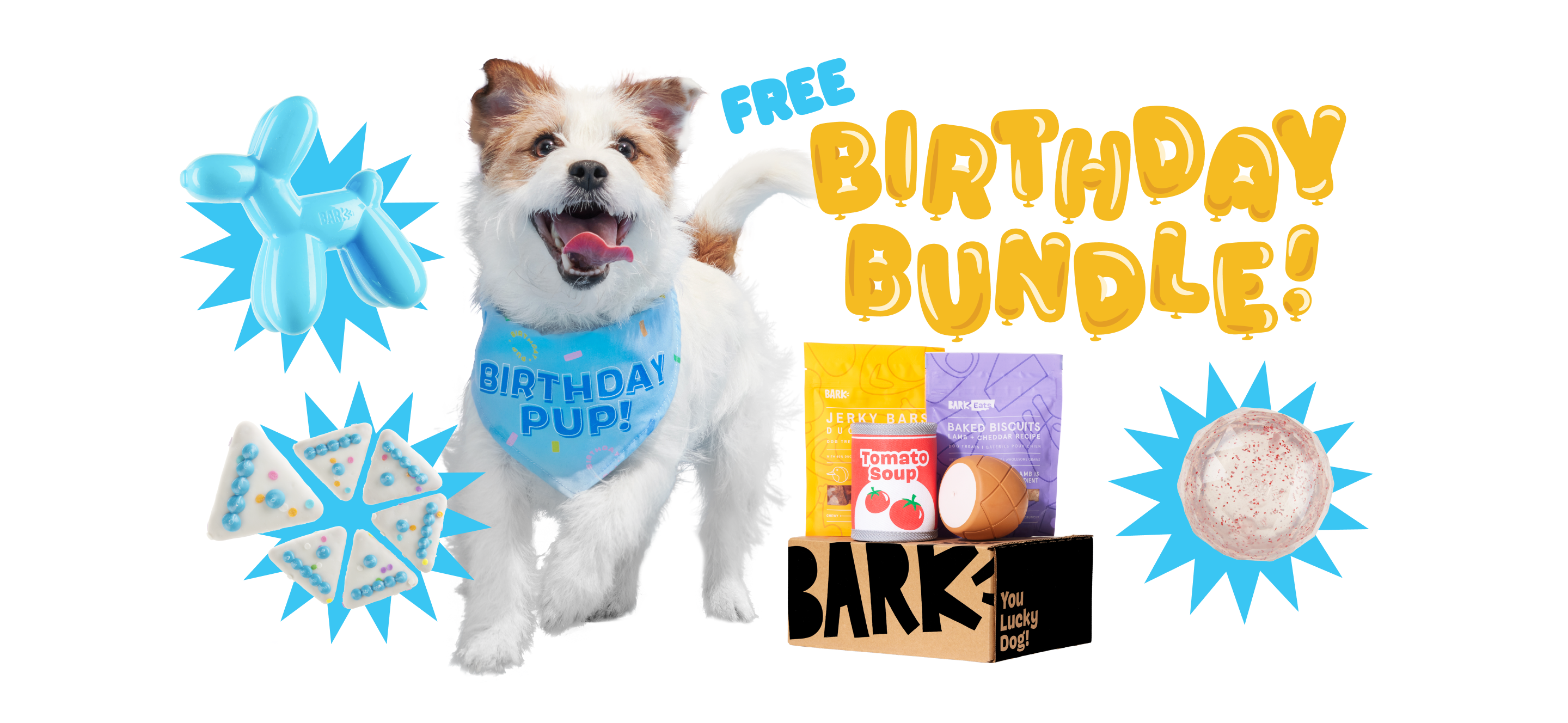 Super Chewer Birthday Bundle