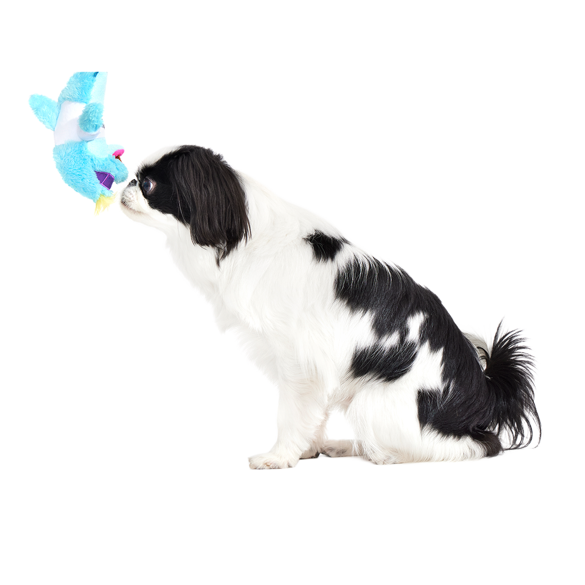 Daddy Dolphin Plush Tug Dog Toy