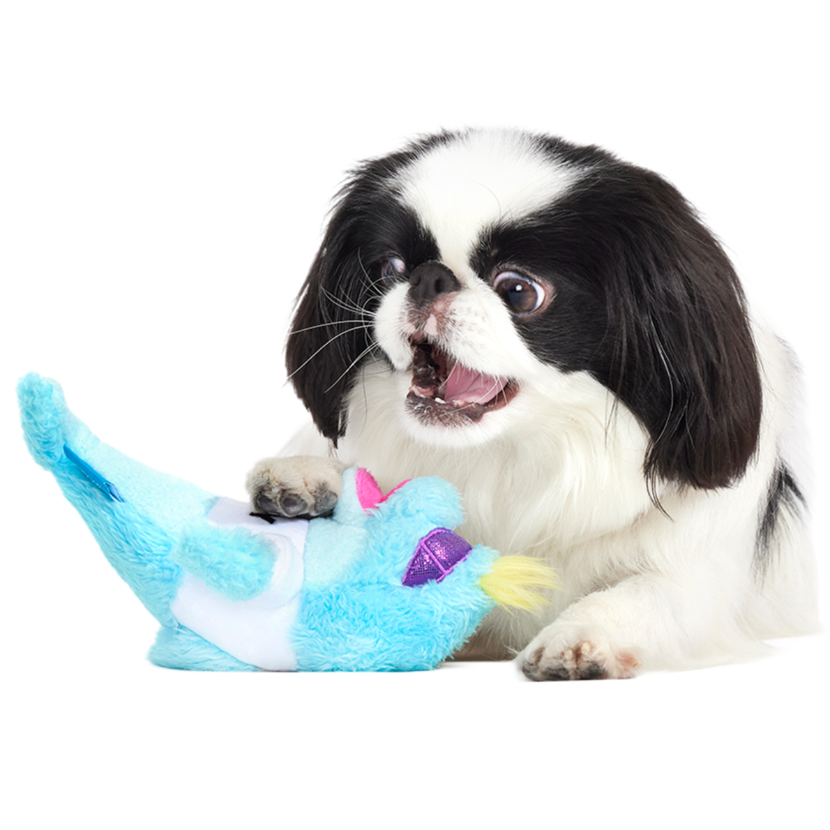 Daddy Dolphin Plush Tug Dog Toy