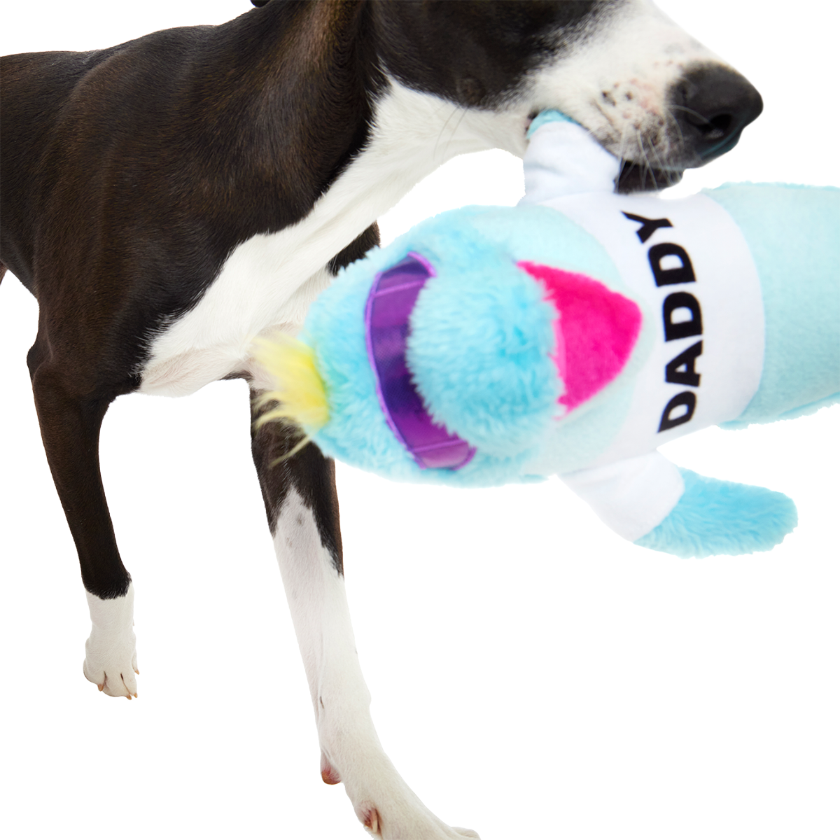Daddy Dolphin Plush Tug Dog Toy