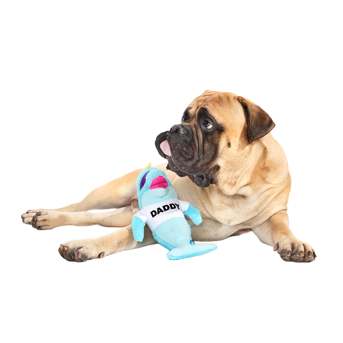 Daddy Dolphin Plush Tug Dog Toy