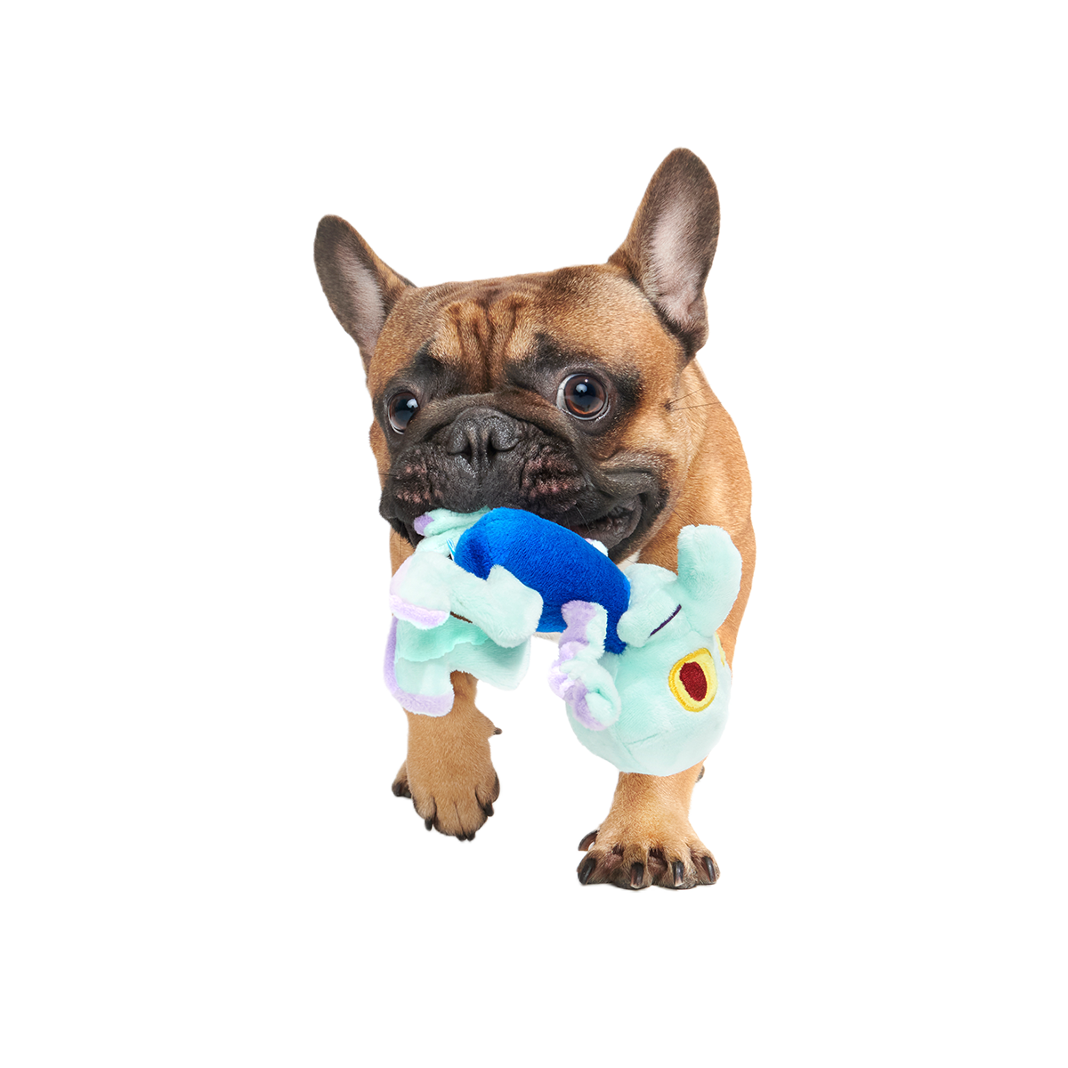 Dancing Squidward Plush Tug Dog Toy
