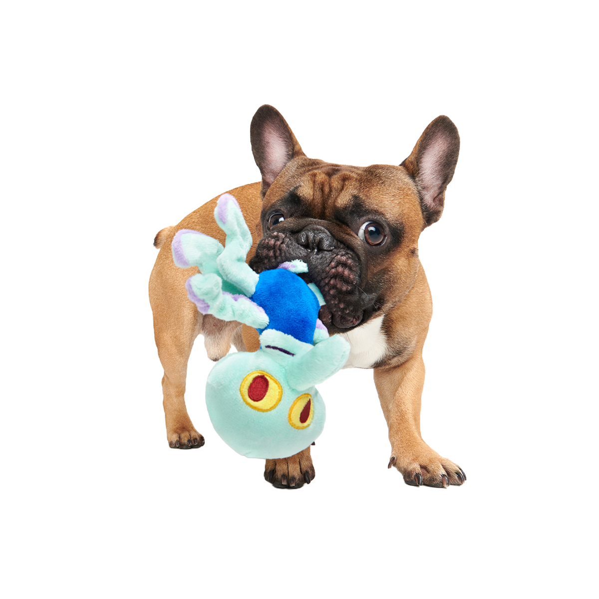 Dancing Squidward Plush Tug Dog Toy