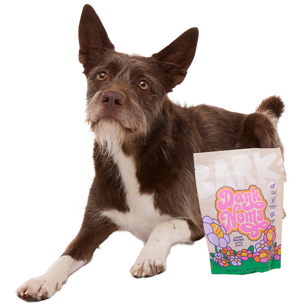 Dank Noms Lamb Jerky Bars Dog Treats, 3 oz