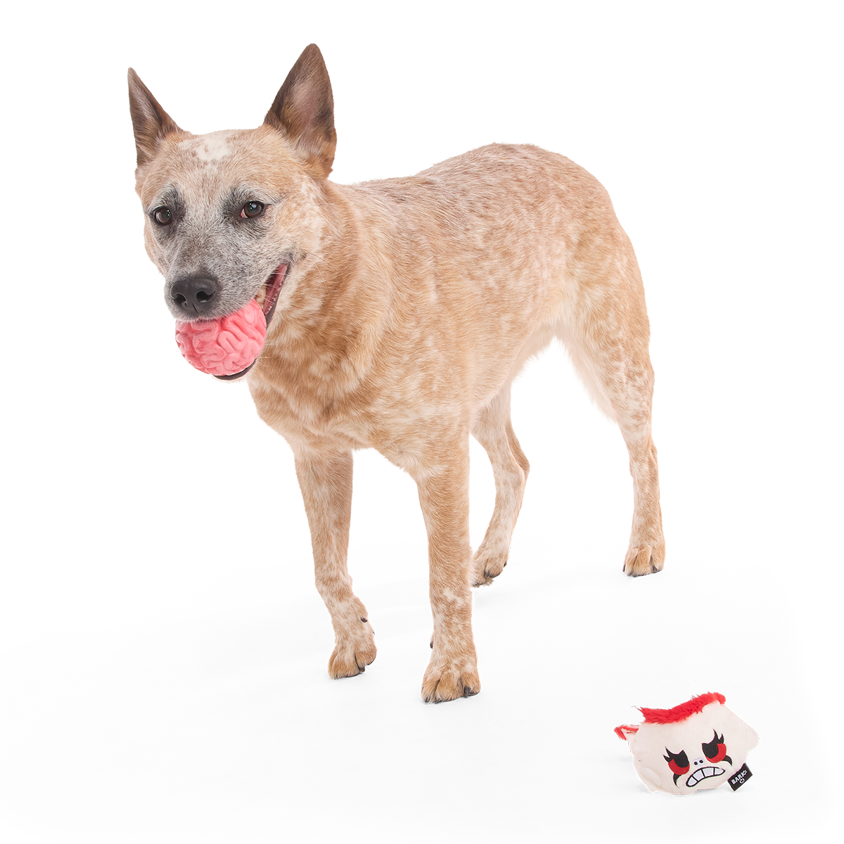 Dead Head Super Chewer Durable 2-in-1 + Fetch Dog Toy