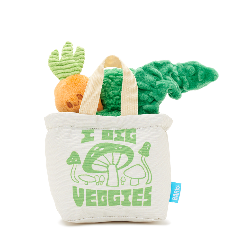 Dig These Veggies Plush Tug + Enrichment Dog Toy – BARK