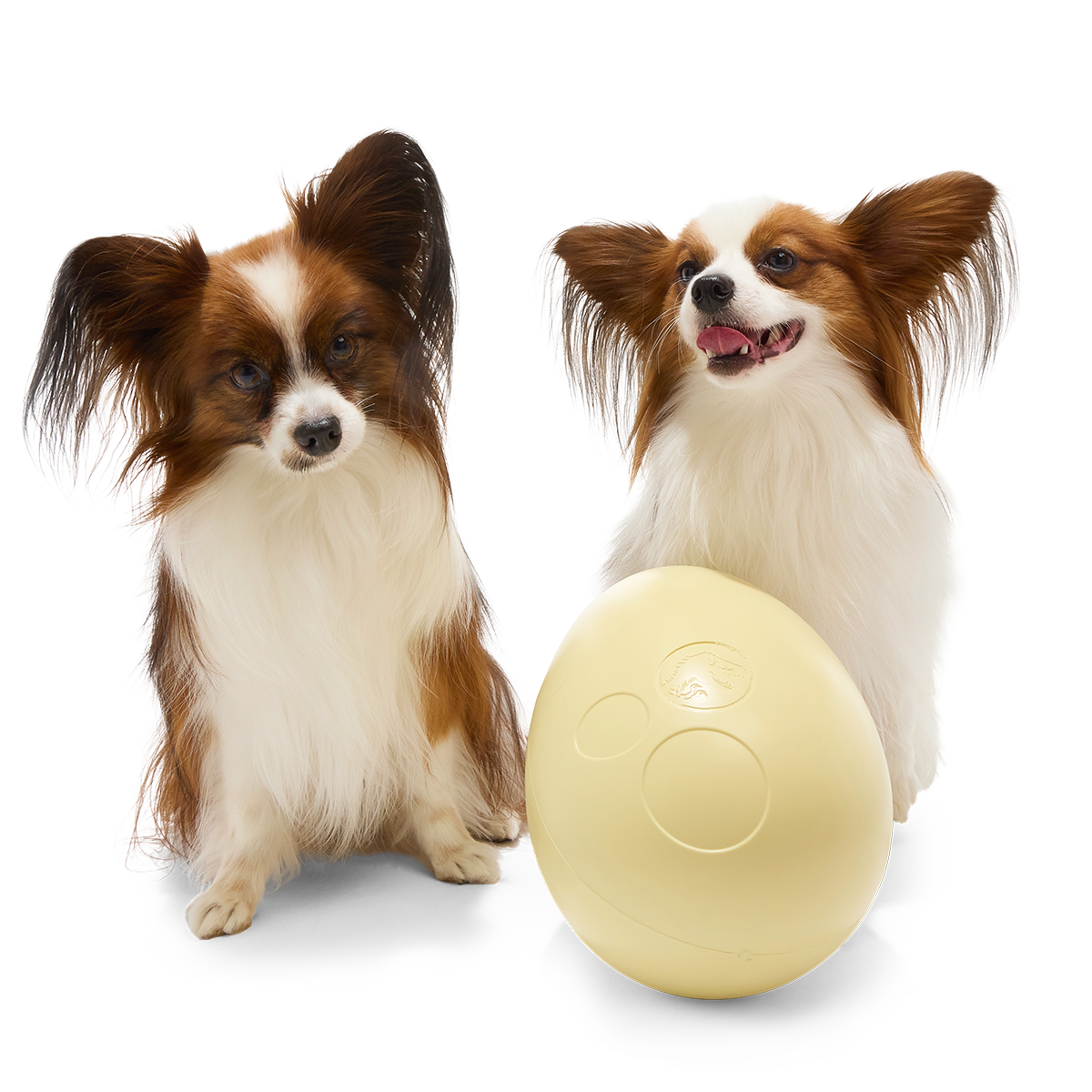 Dinosaur Egg Super Chewer Durable Extra-Large Fetch Dog Toy