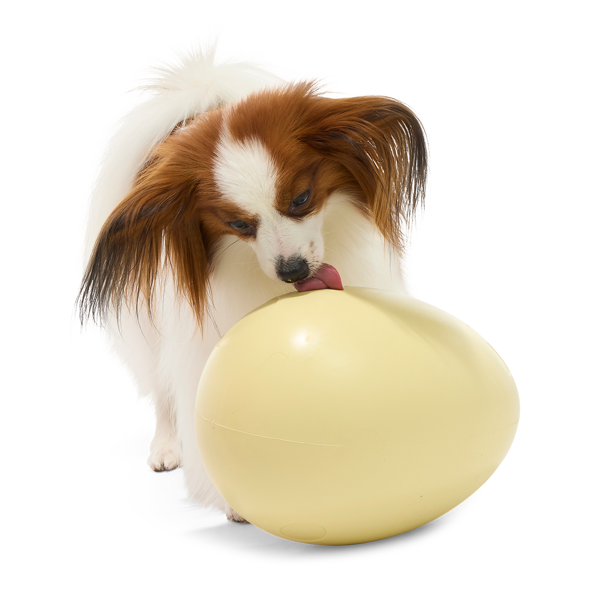Dinosaur Egg Super Chewer Durable Extra-Large Fetch Dog Toy