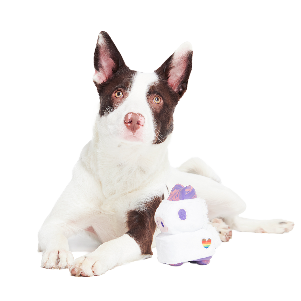 Disco Giddy Super Chewer Durable 2-in-1 Dog Toy